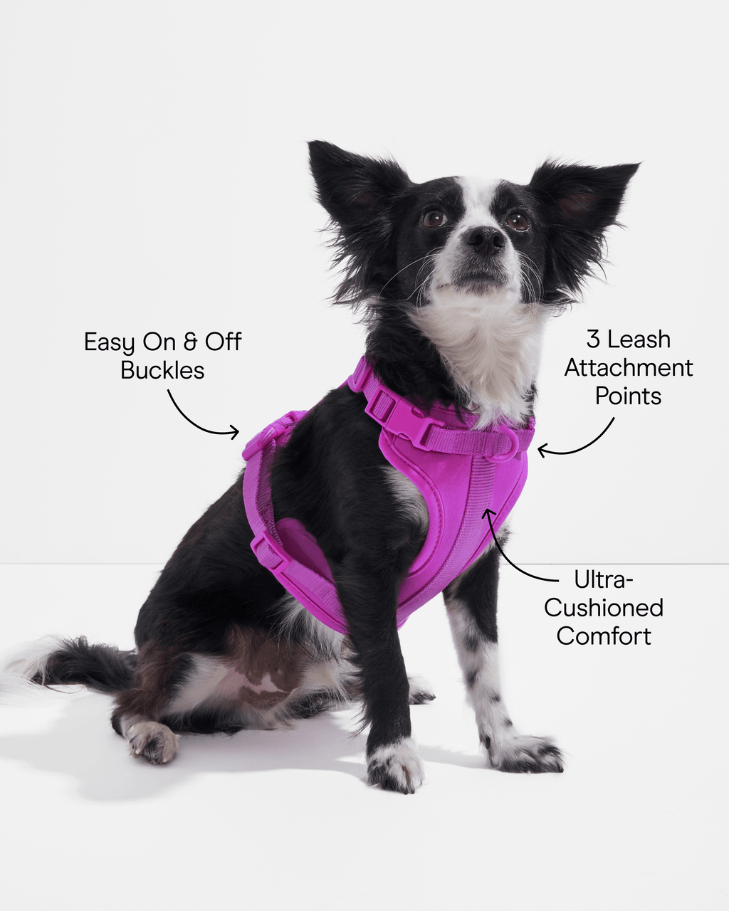 Cushioned Dog Harness
