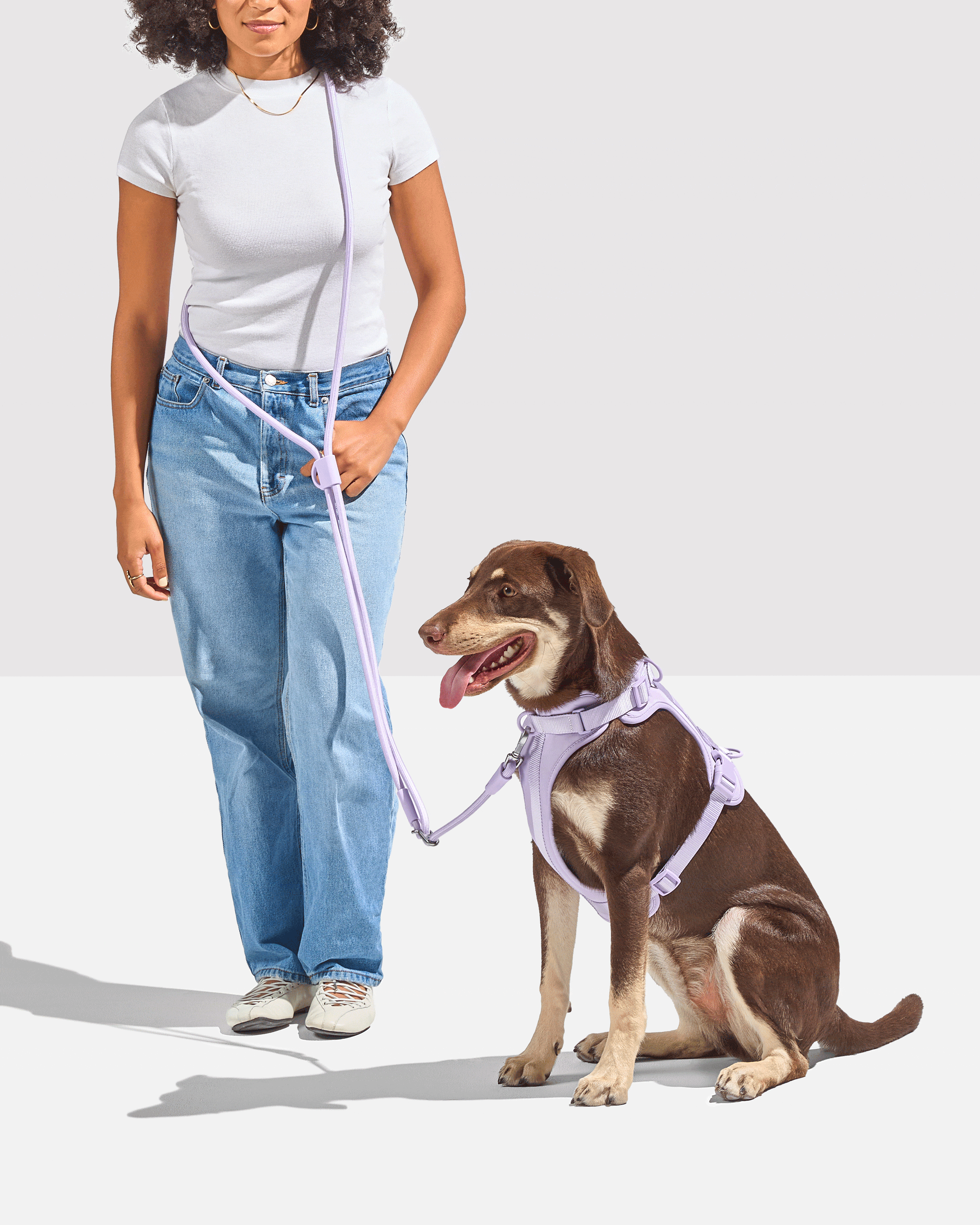 Cushioned Harness + Hands-Free Rope Leash Walk Kit