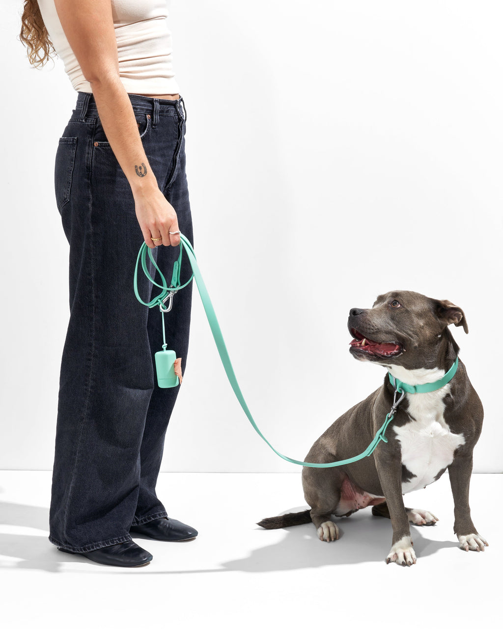 Seafoam | Maui, Pit Mix, Wearing L