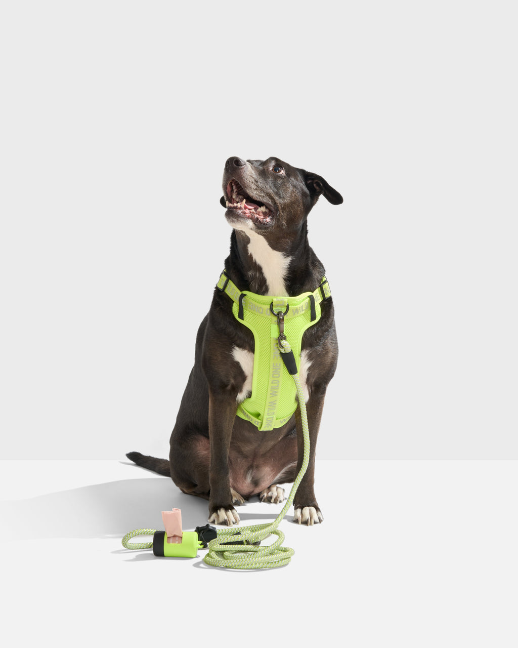 Hands-Free Rope Dog Leash