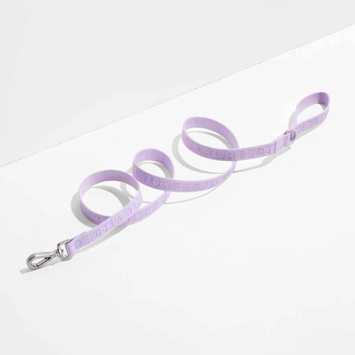 Quick-Release Collar + Lightweight Leash Walk Kit