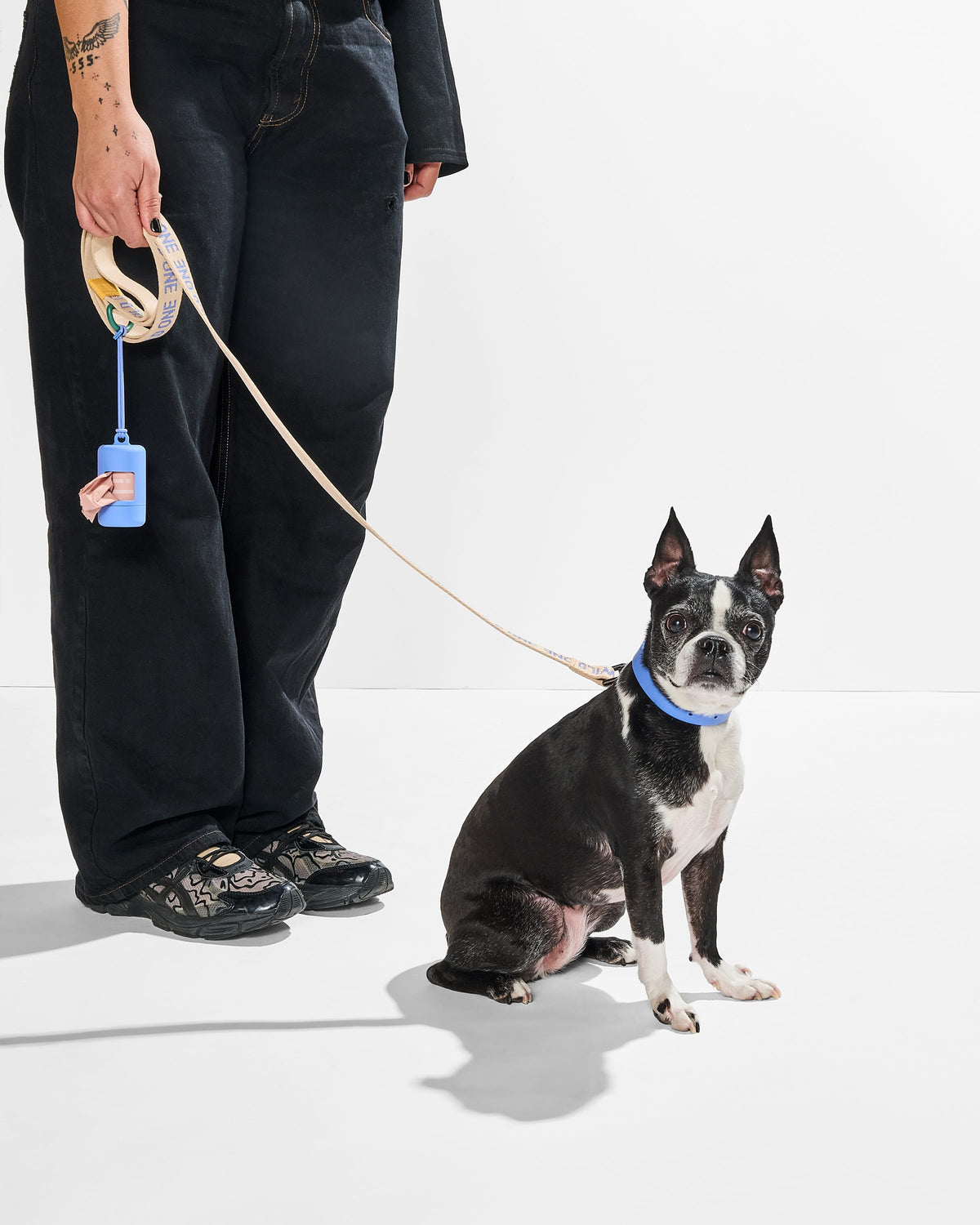 Waterproof Collar + Lightweight Leash Walk Kit